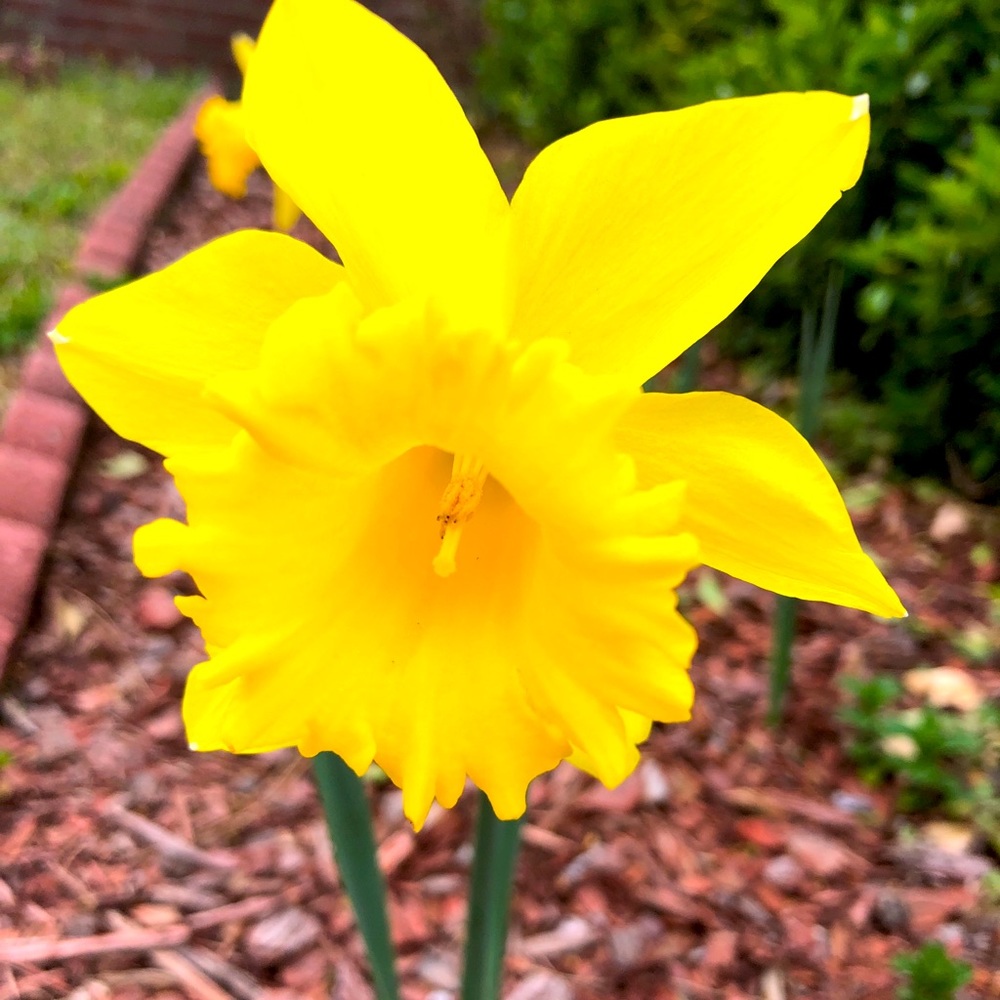 Meet your Posher, Adila